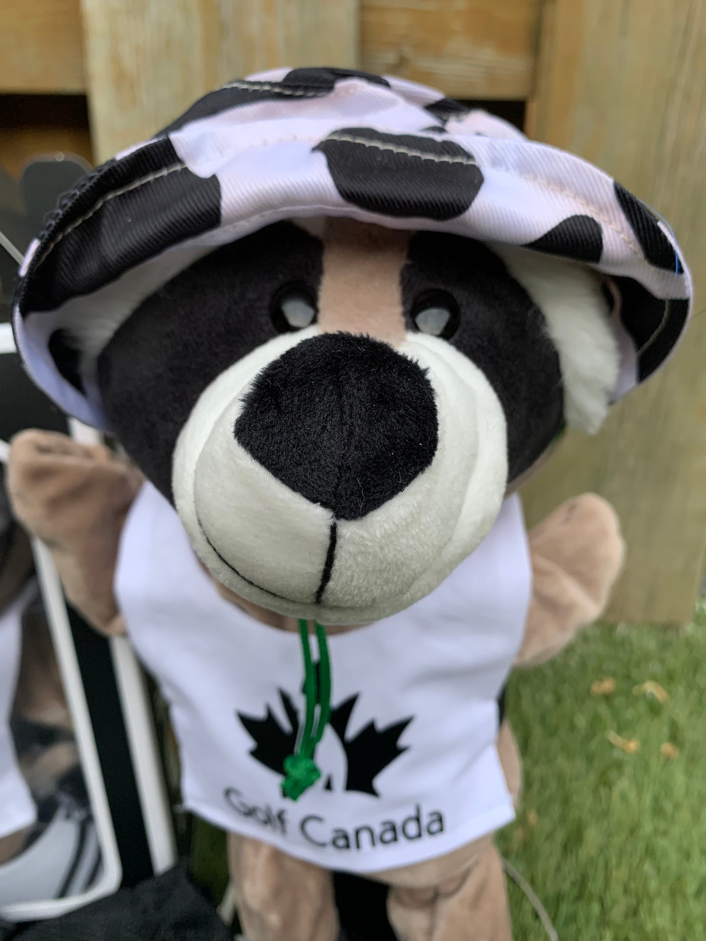 Racoon (Bogey)