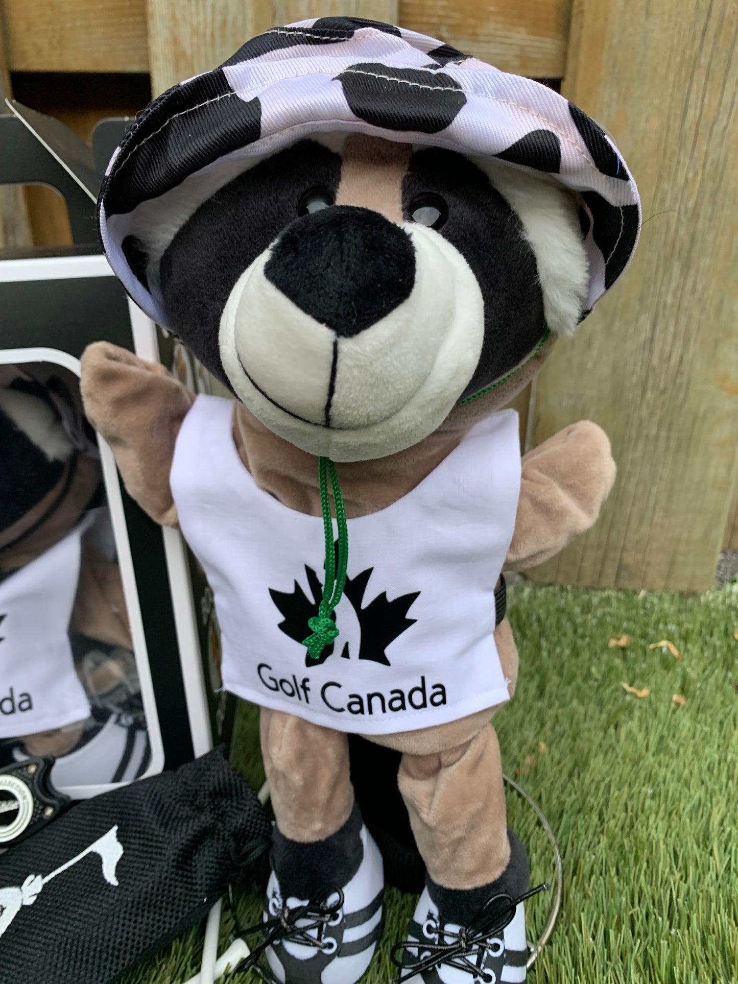 Racoon (Bogey)