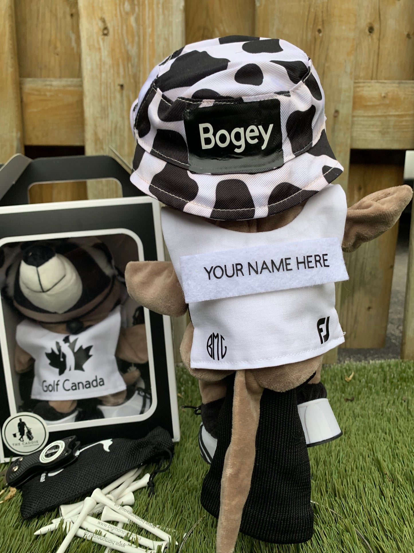 Racoon (Bogey)